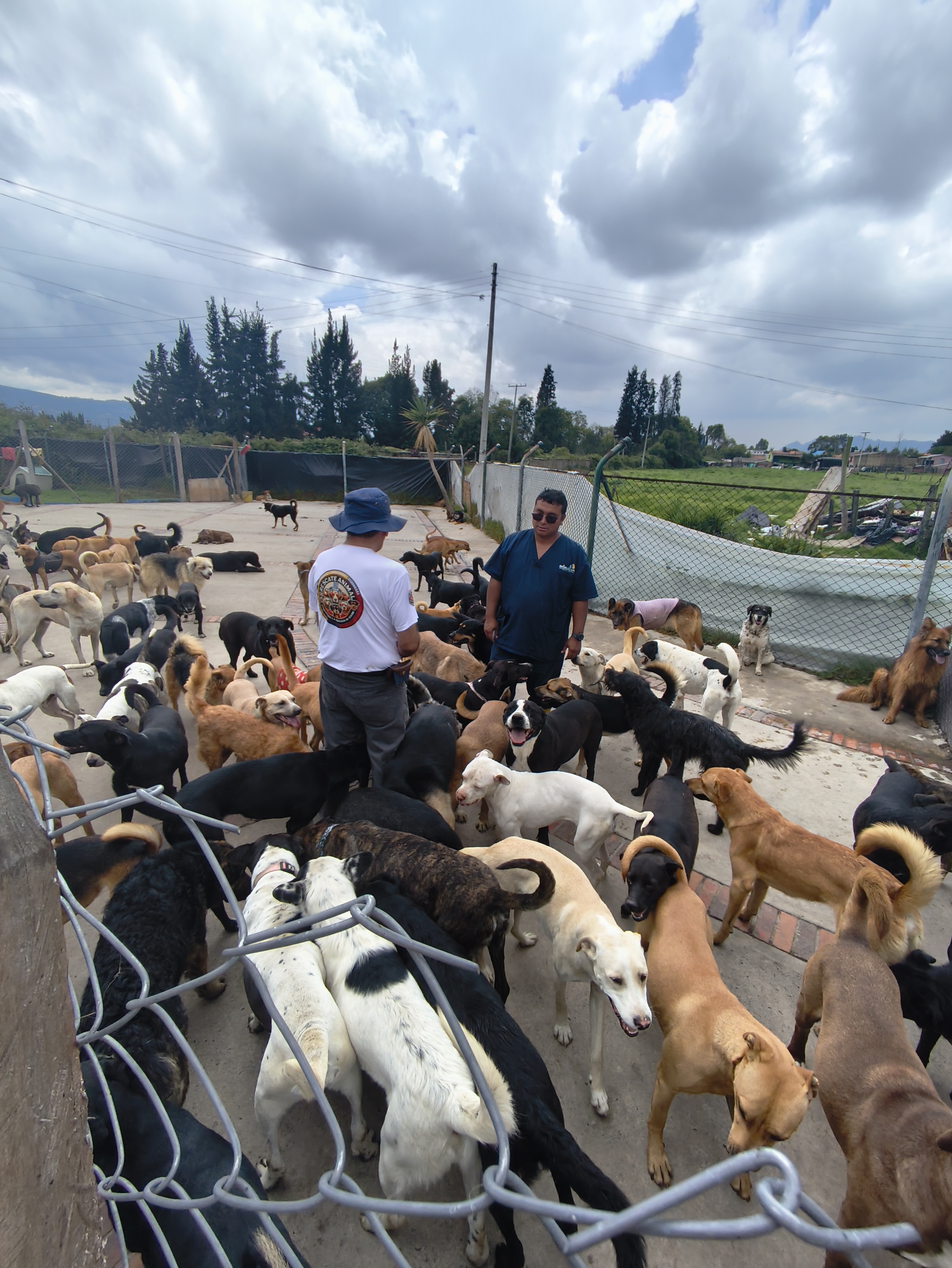 Voluntarios y perros rescatados en Fundación Arkacan